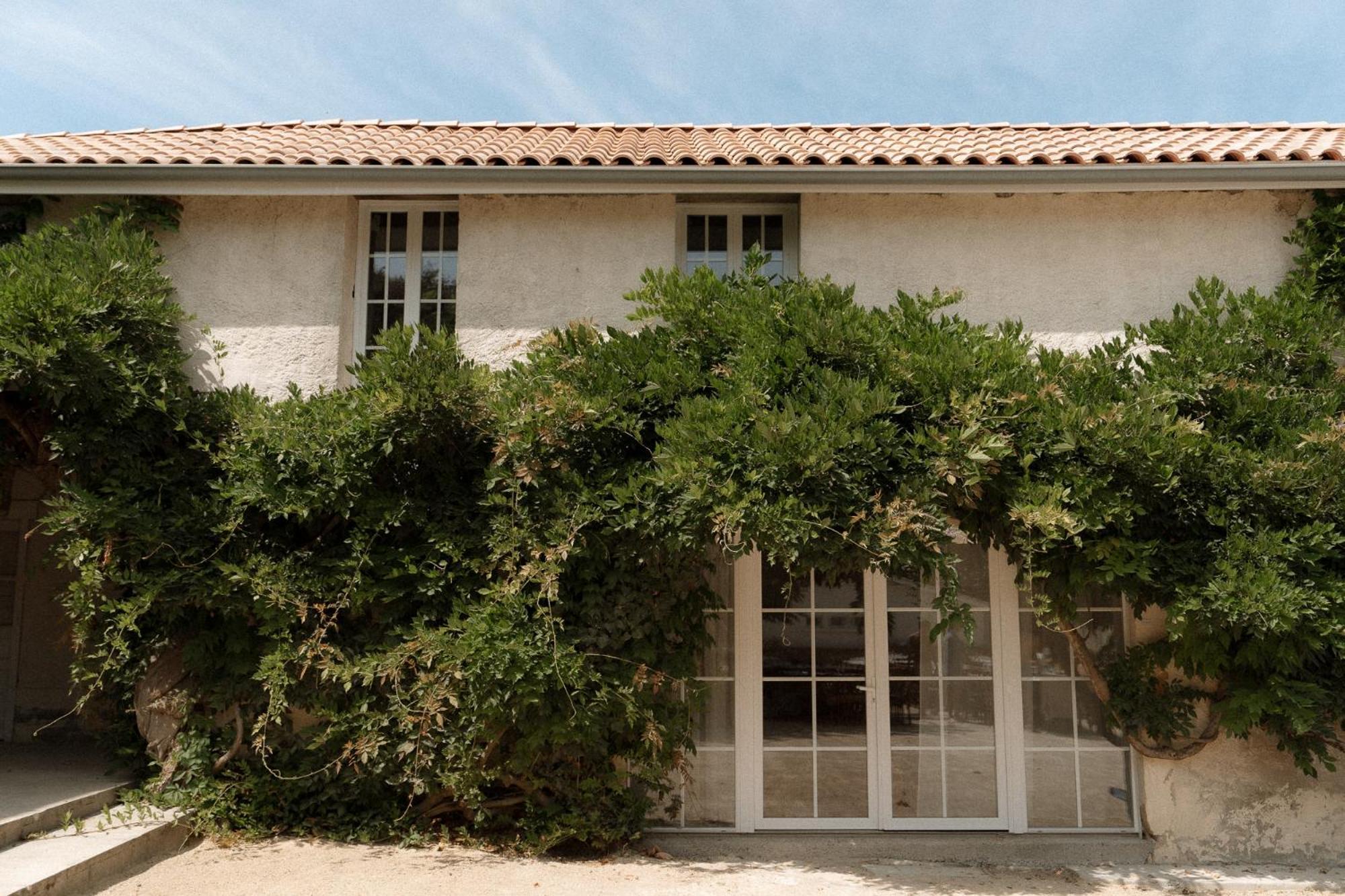 Domaine De Bassibe Bed & Breakfast Segos Exterior photo